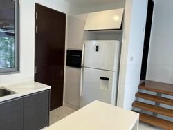 Radiance @ Bukit Timah (D21), Terrace #474723791